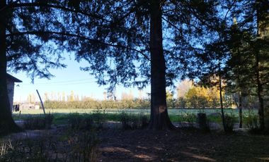 Vende Chacra 6 Hectareas en Allen Con  Galpon y Casa