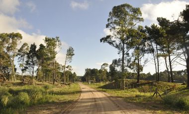 Terreno - Barrio Costa Esmeralda