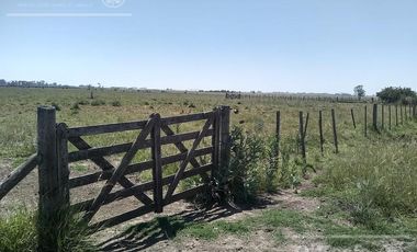 Campo mixto 218 has - Mayormente Ganadero - San Miguel del Monte