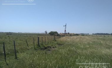 Campo mixto 218 has - Mayormente Ganadero - San Miguel del Monte