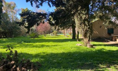 Quinta en  20 de Junio - Casacuberta y cardassy