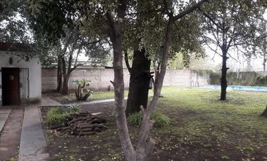 Quinta - Claypole
