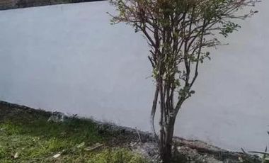 Casa en venta - 2 Dormitorios 1 Baño - Departamento - 333Mts2 - Junín