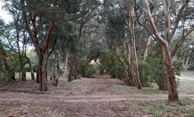 Terrenos en venta - 1.330Mts2 - Arenas Verdes, Lobería