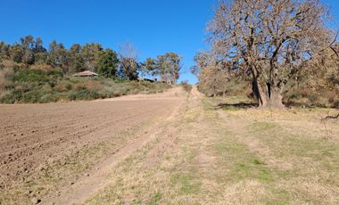 Campo en Venta en Fighiera, Santa Fe