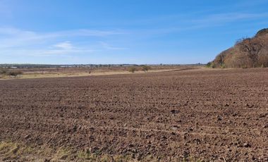 Campo en Venta en Fighiera, Santa Fe