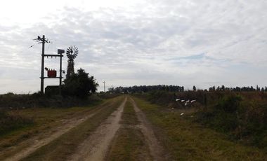 Campo en Venta en Fighiera, Santa Fe