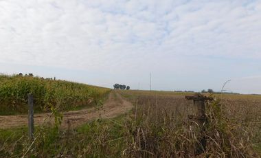 Campo en Venta en Fighiera, Santa Fe