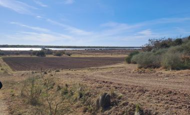 Campo en Venta en Fighiera, Santa Fe