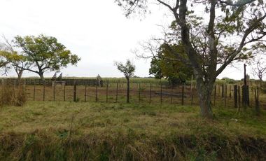 Campo en Venta en Fighiera, Santa Fe