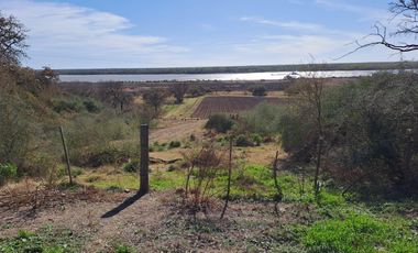 Campo en Venta en Fighiera, Santa Fe