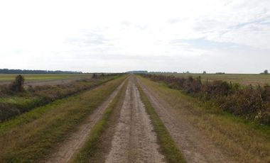 Campo en Venta en Fighiera, Santa Fe