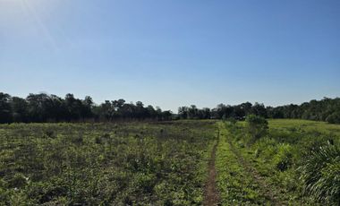 Se vende Chacra de 33ha con arroyo, a 3km del Pueblo de Bonpland, Misiones