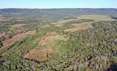 Se vende Chacra de 33ha con arroyo, a 3km del Pueblo de Bonpland, Misiones
