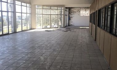 Galpón - Zona Sur