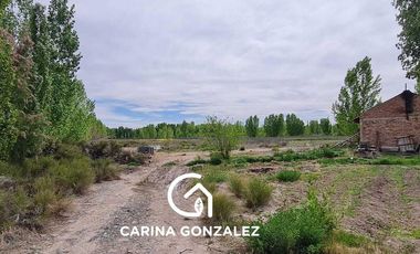 Chacra 11  hectareas con frente Ruta 7  San Patricio Del Chañar
