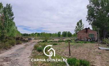 Chacra 11  hectareas con frente Ruta 7  San Patricio Del Chañar