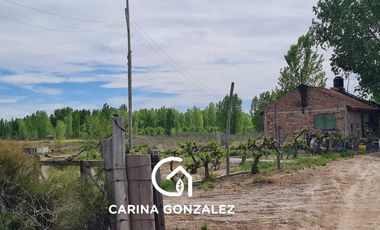 Chacra 11  hectareas con frente Ruta 7  San Patricio Del Chañar