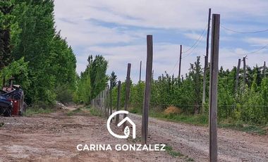 Chacra 11  hectareas con frente Ruta 7  San Patricio Del Chañar