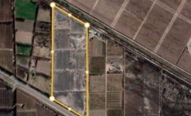 Chacra 11  hectareas con frente Ruta 7  San Patricio Del Chañar