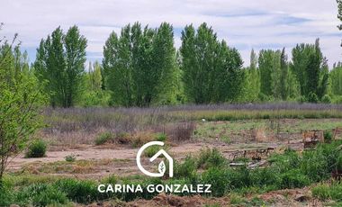 Chacra 11  hectareas con frente Ruta 7  San Patricio Del Chañar
