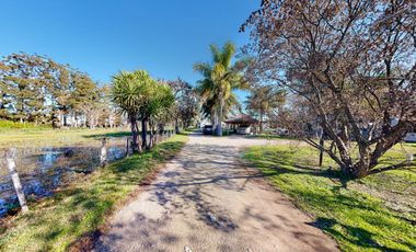 Quinta en venta en La Plata - Dacal Bienes Raíces