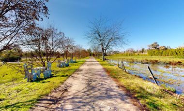 Quinta en venta en La Plata - Dacal Bienes Raíces