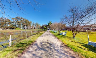 Quinta en venta en La Plata - Dacal Bienes Raíces