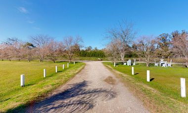 Quinta en venta en La Plata - Dacal Bienes Raíces