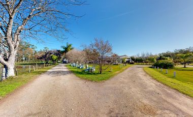 Quinta en venta en La Plata - Dacal Bienes Raíces