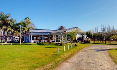 Quinta en venta en La Plata - Dacal Bienes Raíces
