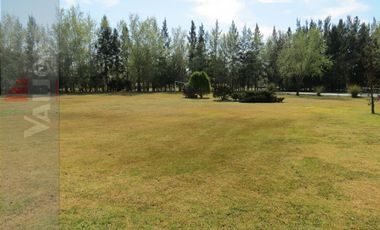 B° Colonia de Chacra, Exc. Casa 4 Dormitorios c/Jardín, Pileta, Cancha de Tenis!