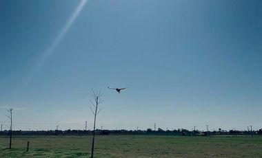 Lote 800 m2 - La Finca l - Funes | Venta