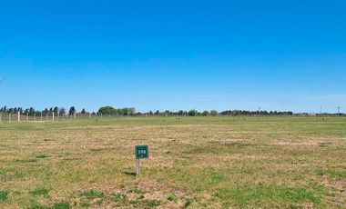 Lote 800 m2 - La Finca l - Funes | Venta