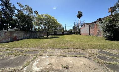 3 lotes juntos o separados. 1470m2