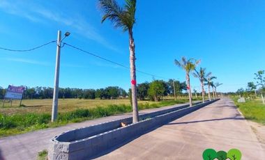 Venta Terreno Longchamps - Barrio 