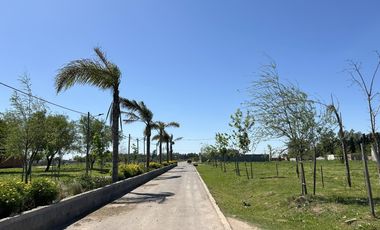 Venta Terreno Longchamps - Lote Barrio 
