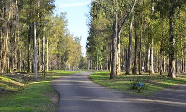 LOTES en Campo Timbo BARRIO CERRADO