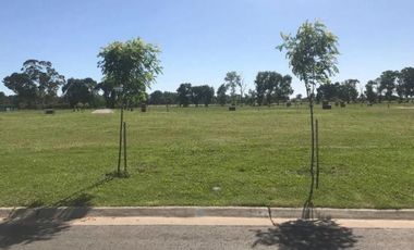 Terreno en venta - 450Mts2 - San Ramón, Pilar