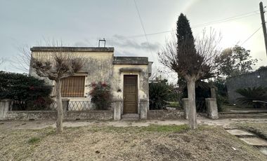 Casa - Lobos