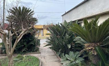 Casa - Lobos