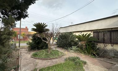 Casa - Lobos