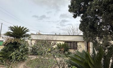 Casa - Lobos