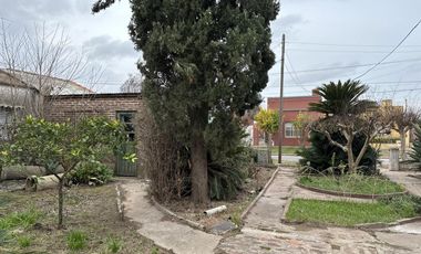 Casa - Lobos