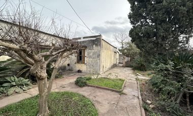 Casa - Lobos