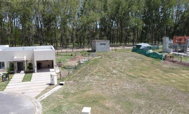 Venta - Lote en La Alameda