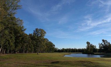 VENTA LOTE CAMPO TIMBÓ. OLIVEROS. 800M2. SECTOR B