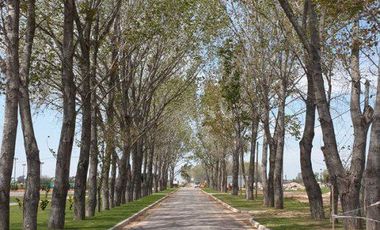 Lote en venta en La Alameda etapa 1 Canning