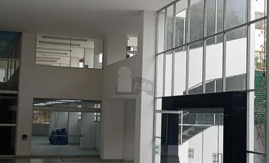 Edificio en Renta  Col La Paz Puebla Puebla.