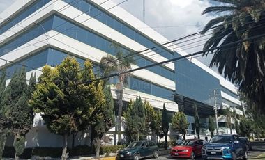 Edificio en Renta  Col La Paz Puebla Puebla.